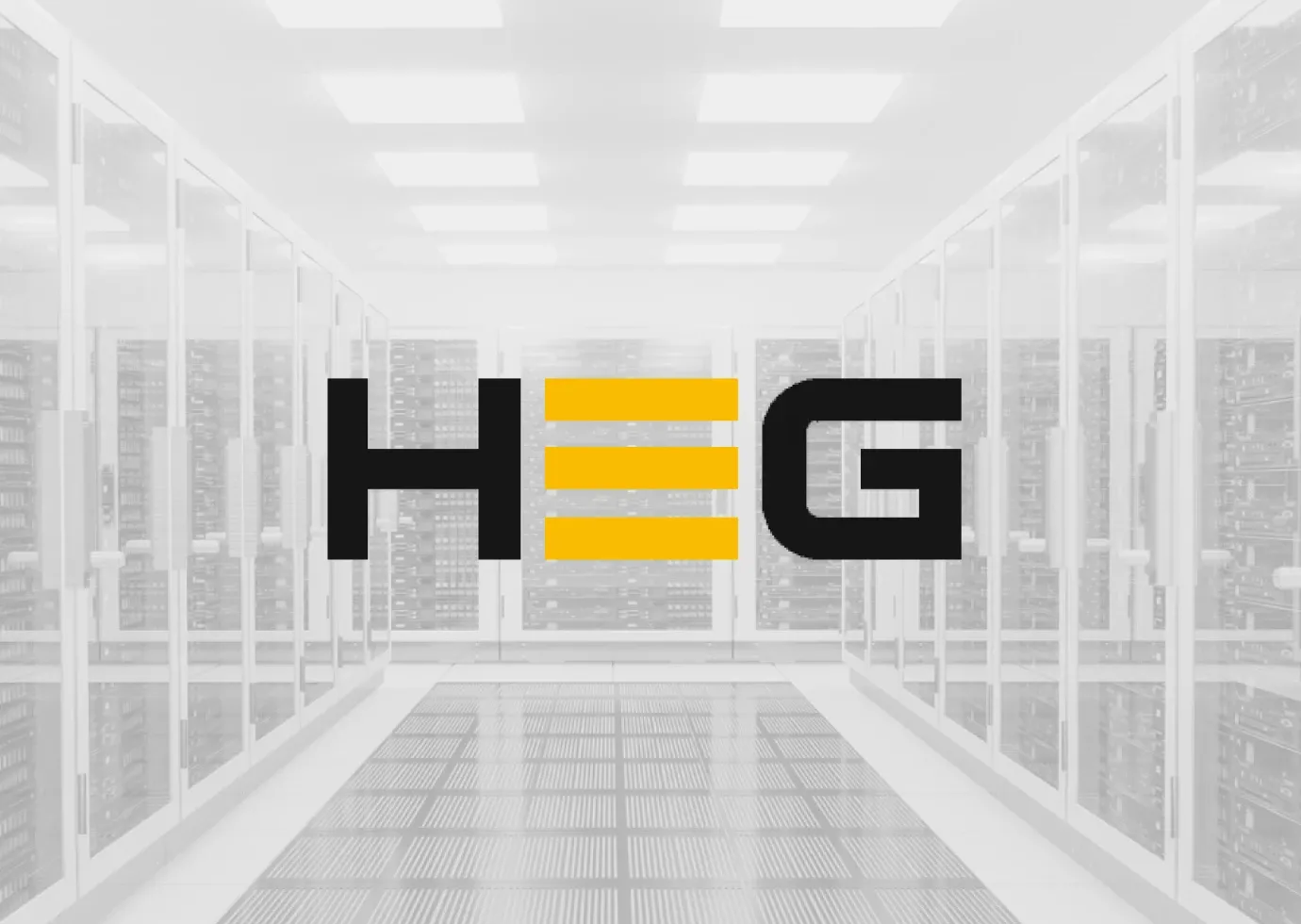 HEG